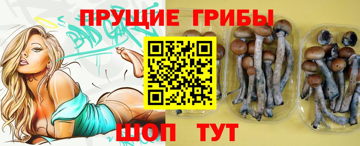 Псилоцибиновые грибы Psilocybine cubensis Туймазы