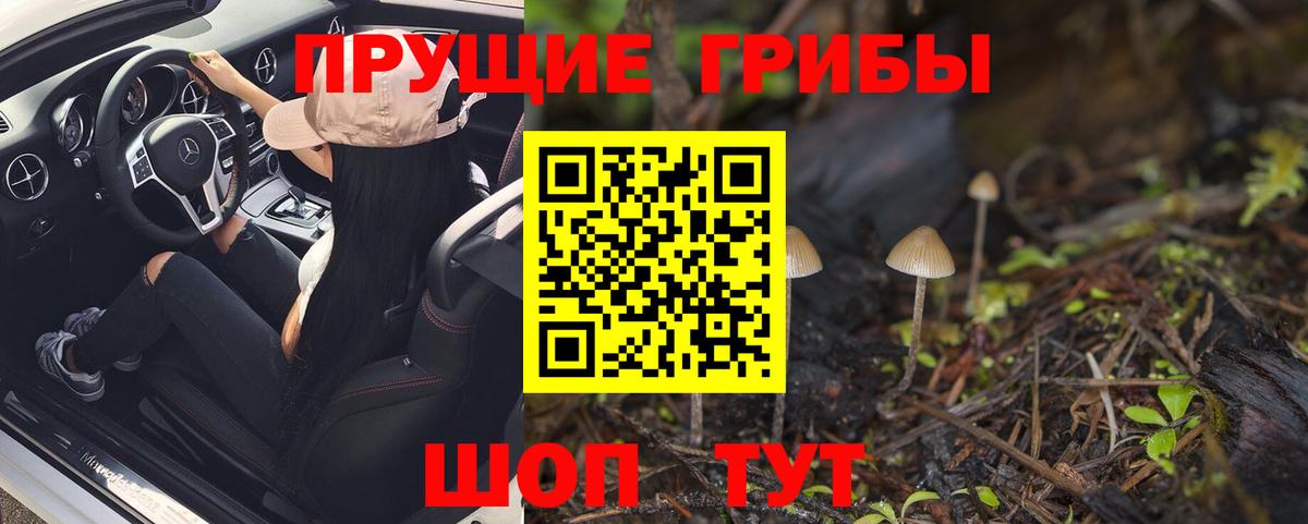 Галлюциногенные грибы Magic Shrooms  где найти   Туймазы  Вход с VPN  Галлюциногенные грибы ЛСД 